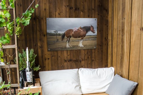Posters de jardin Cheval - Fille - Prairie - 90x60 cm - Toile jardin