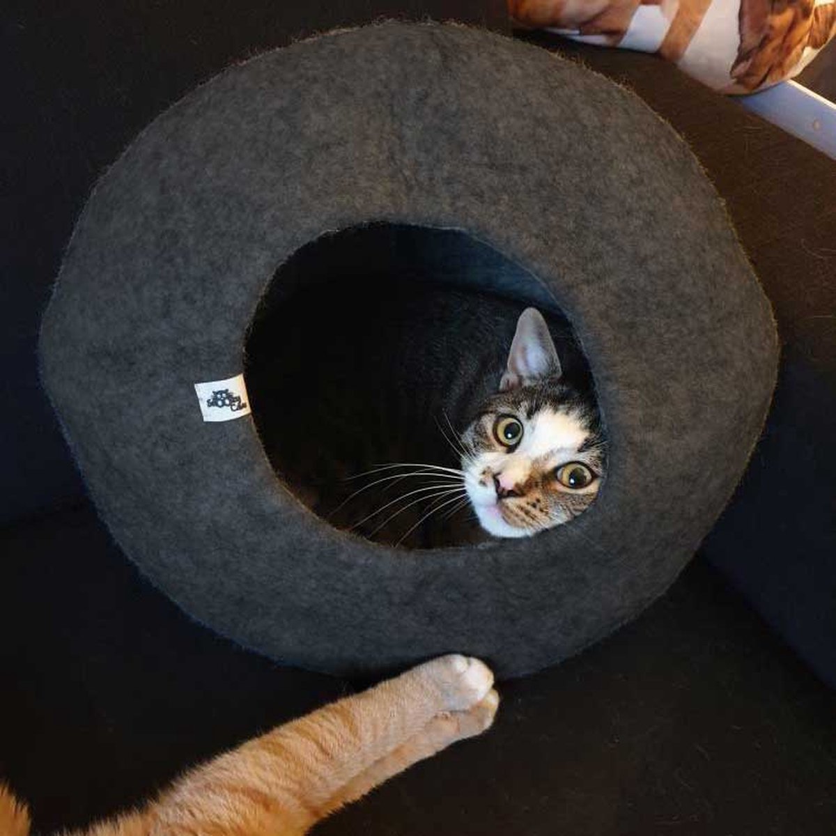 beven Materialisme Artiest Cat cave kattenmand donkergrijs - SnoozyCave | bol.com