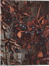 WallClassics - Vlag - Bruine Plant met Bessen aan de Schutting - 30x40 cm Foto op Polyester Vlag