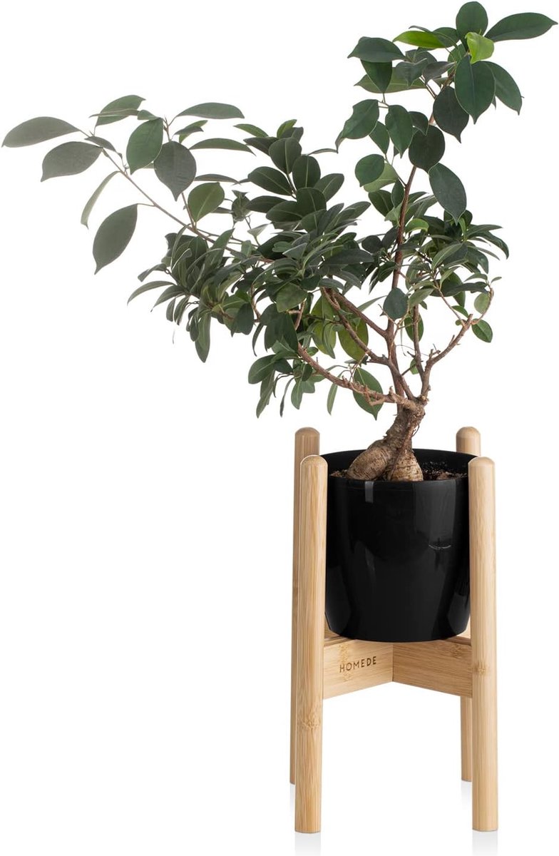 Plantenstandaard van bamboehout verstelbaar bloempotframe plantenhouder 20 x 30 5 x 35 cm Duro