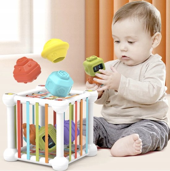 Sensorisch Speelgoed - Motoriek Speelgoed -Sorteer Spel - Rammelaar - Sensorisch Speelgoed Baby - vanaf 12 maanden
