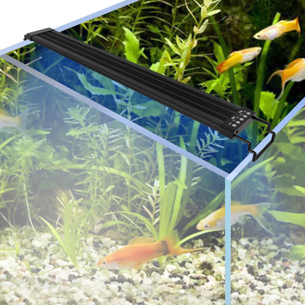 LED Aquarium Dimmable avec Télécommande Éclairage pour Plante  Poisson,50.5cm,55-80CM Extensible Lampe