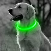 JN Groene LED Halsband voor honden - Large size - groen verlichte halsband - 70 cm - Graag nauwkeurig de maat opmeten! - Lichtgevende Halsband Hond - Oplaadbaar via USB - adjustable - verstelbaar - verstelbare halsband USB oplaadbaar