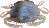 Berkley Avalez! Leurres crabe Mue - 5 pièces - Avec imitation couleur et parfum
