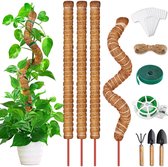 pièces Bâton de plante Monstera Trellis Moss Rod de 70 cm avec 4