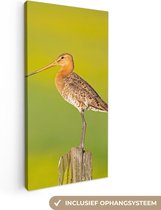 Canvas - Schilderij - Vogel - Dieren - Grutto - Paal - Groen - Schilderijen op canvas - Foto op canvas - 40x80 cm - Wanddecoratie - Woonkamer