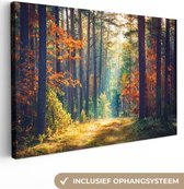 Canvas - Schilderij natuur - Bos - Bladeren - Natuur - Herfst - Wanddecoratie - Foto op canvas - 30x20 cm - Slaapkamer - Interieur