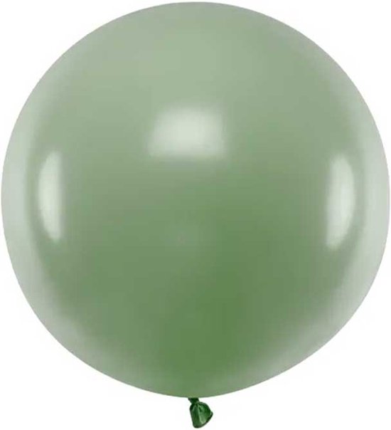 Foto: Partydeco ballonnen latex rosemary green eucalyptus 100 cm per stuk 