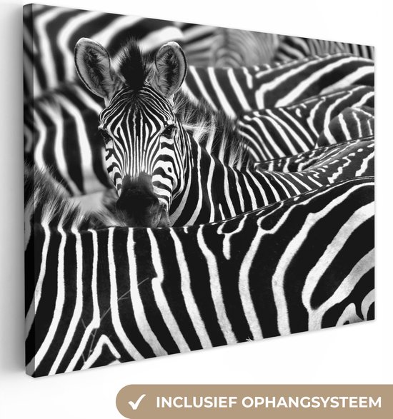 Canvas schilderij 160x120 cm - Wanddecoratie Zebra zwart-wit fotoprint - Muurdecoratie woonkamer - Slaapkamer decoratie - Kamer accessoires - Schilderijen