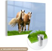 MuchoWow® Glasschilderij 180x120 cm - Schilderij acrylglas - Paarden - Gras - Lucht - Foto op glas - Schilderijen