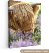 Tableau sur toile Highlander écossais - Herbe - Bruyère - Animaux - 120x160 cm - Décoration murale XXL