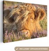 Peinture sur toile Highlander écossais - Bruyère - Herbe - Animaux - 140x90 cm - Décoration murale