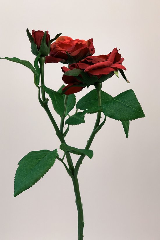 Zijden kunstbloem Roos | Rood | Lengte 50 centimeter