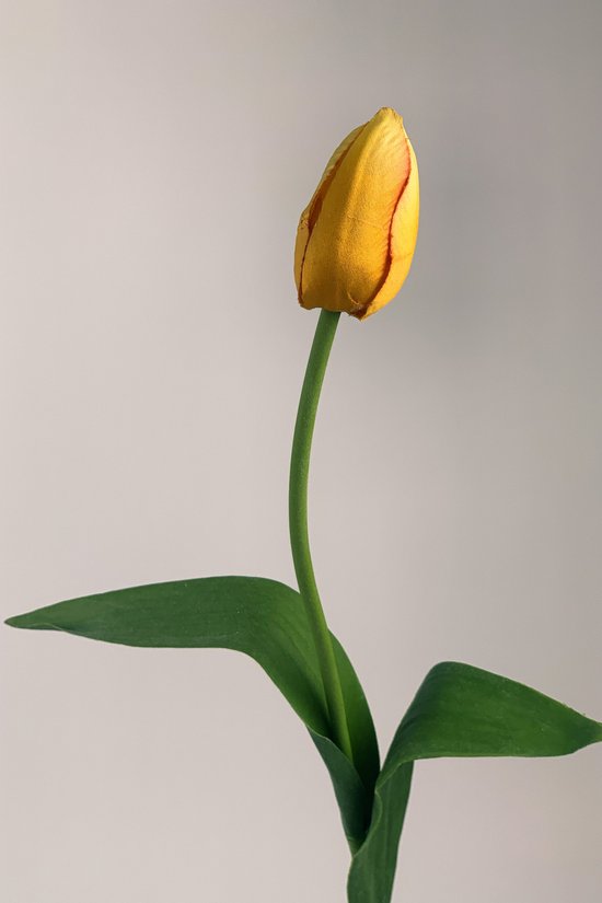 Zijden kunstbloem Tulp | Geel | Lengte 60 centimeter