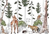 Fotobehang - Dieren - Bos - Cartoon - Woud - Witte Achtergrond - Vliesbehang - 416x290cm (lxb)