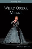 What Opera Means – Categories and Case–studies