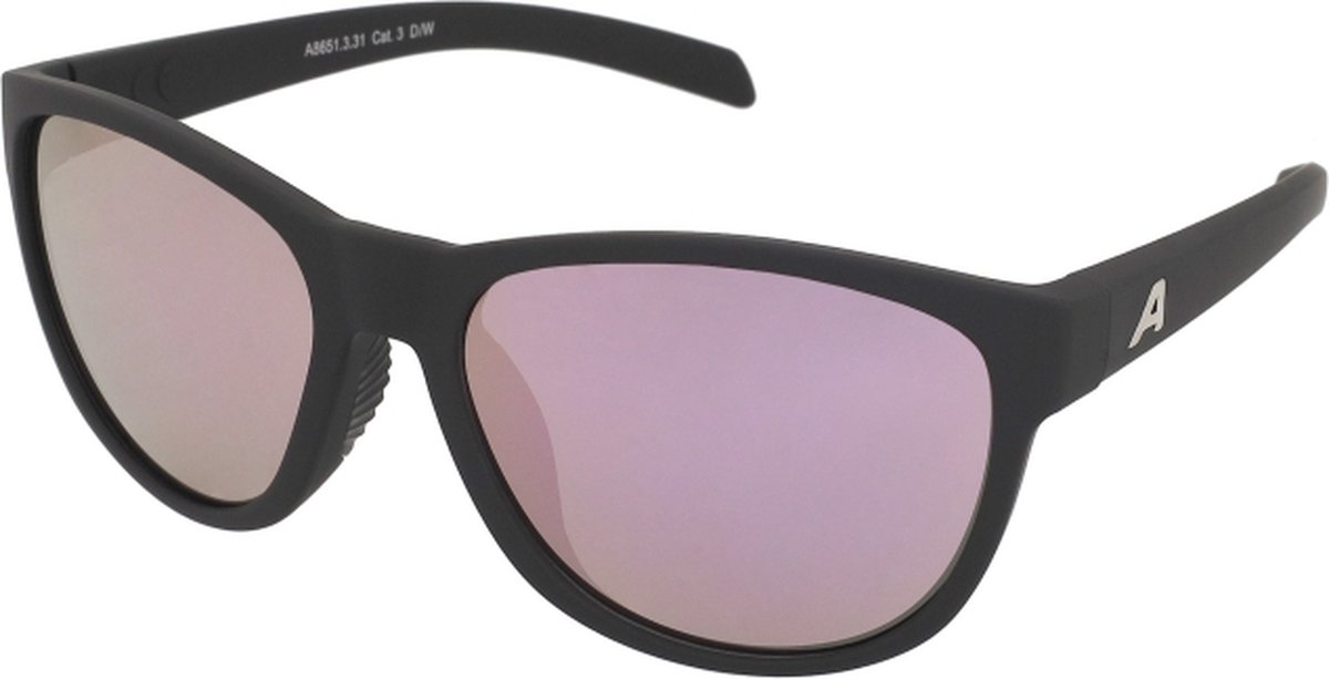 Zonnebrillen Alpina Nacan II Black Matt