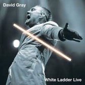 David Gray - White Ladder Live (LP)