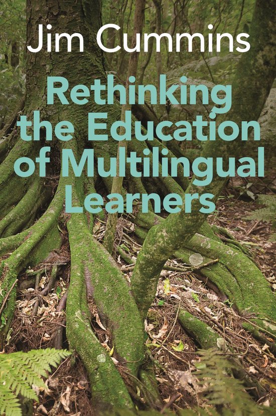 Linguistic Diversity and Language Rights- Rethinking the Edu ... - cover