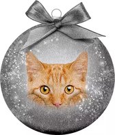 Plenty Gifts Kerstbal - Frosted Rode Kat - 10 cm