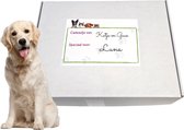 Nobleza Dog Package M - jouets pour chiens - paquet cadeau pour chien - coffret cadeau chiens - boîte pour chien - cadeau pour chien - chien d'anniversaire - cadeau pour chien - boîte à renifler