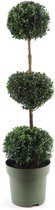 Buxus – Buxus Semp Trio-Ball (Buxus Semp Trio-Ball) met bloempot – Hoogte: 110 cm – van Botanicly