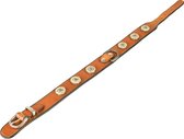 Dutchiz Fortuna Cognac Luxe Leren Halsband belegd met gele stenen voor de hond maat XS 44 cm in NL handgemaakt