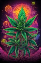 Mariuana Trip Poster | Cannabis Poster | Wiet Poster | Kleurenposter | 51x71cm | Wanddecoratie | Muurposter | MT | Geschikt om in te lijsten