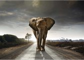 Schilderij Wandelende olifant 100x140 cm