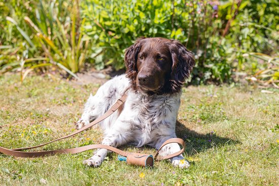 Beeztees Balacron Poepzakhouder Ot - Hond - Kunstleer - Kleur: Bruin - Incl. 20 Zakjes