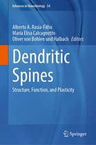 Advances in Neurobiology 34 - Dendritic Spines