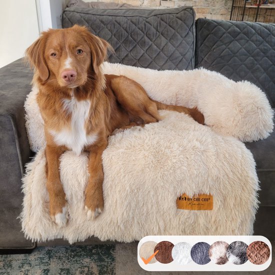 Canapé pour chien en Tissu de couleur Beige