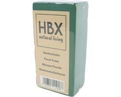 HBX Natural Living Steekschuim - oase - groen - L20 x B10 x H7,5 cm - foam - rechthoekig