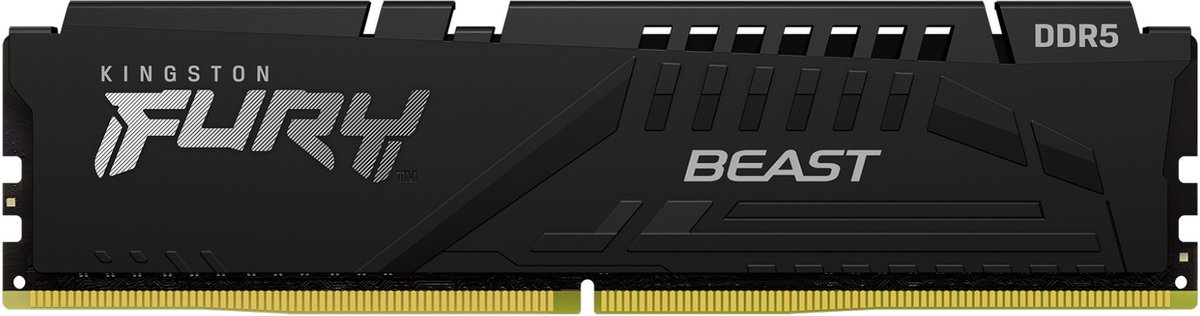 Kingston Technology FURY Beast, 16 GB, 1 x 16 GB, DDR5, 5600 MHz, 288-pin DIMM