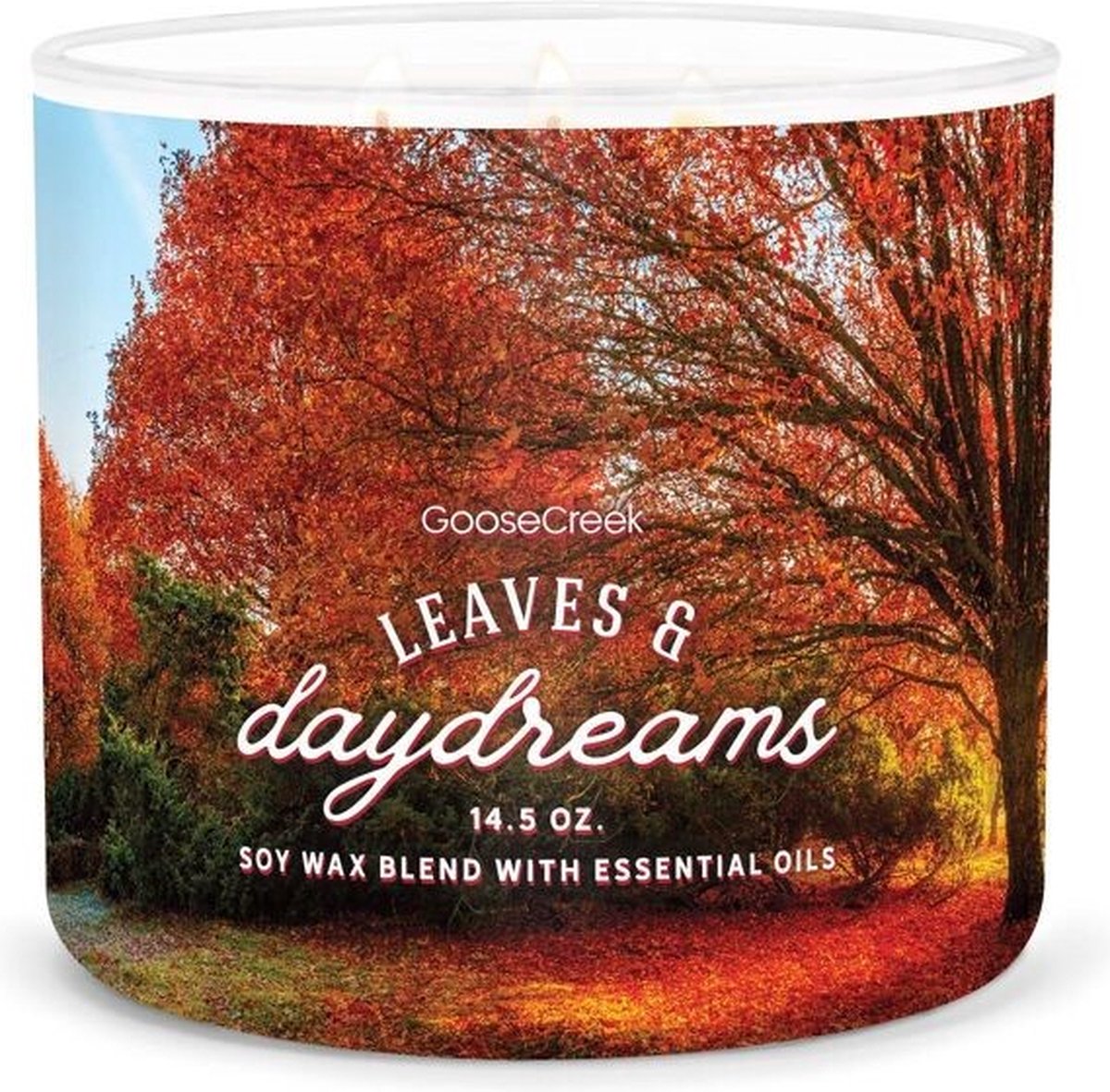 Goose Creek Candle Leaves & Daydreams Goose Creek Candle Large 3-Wick Candle zilver blauw rood geel wit zwart groen geel