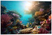 Dibond - Onderwater - Oceaan - Zee - Koraal - Vissen - Kleuren - Zon - 60x40 cm Foto op Aluminium (Wanddecoratie van metaal)
