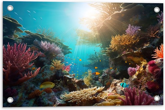 Tuinposter – Onderwater - Oceaan - Zee - Koraal - Vissen - Kleuren - Zon - 60x40 cm Foto op Tuinposter (wanddecoratie voor buiten en binnen)