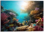 Dibond - Onderwater - Oceaan - Zee - Koraal - Vissen - Kleuren - Zon - 40x30 cm Foto op Aluminium (Wanddecoratie van metaal)
