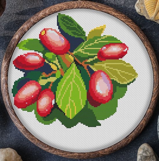 Borduurpakket Mandala Fruit - Cornelian Cherry - Kers - geschikt voor beginners.