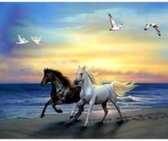 Peinture Diamond – 2 chevaux sur la plage – 50x40 cm – pierres carrées