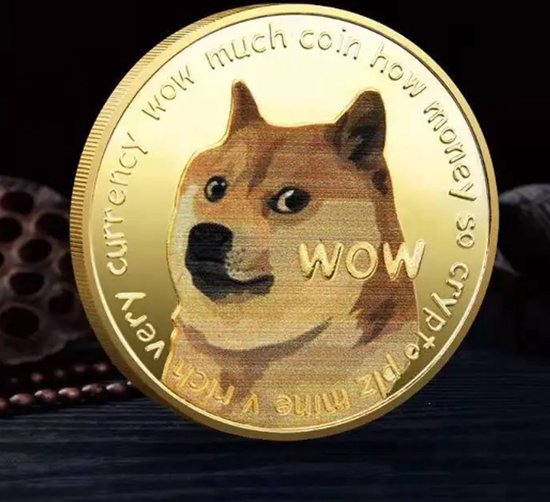 Dogecoin Munt I Fysieke Dogecoin Munt I Cryptotoken I Cryptocurrency I Met Case I Goud