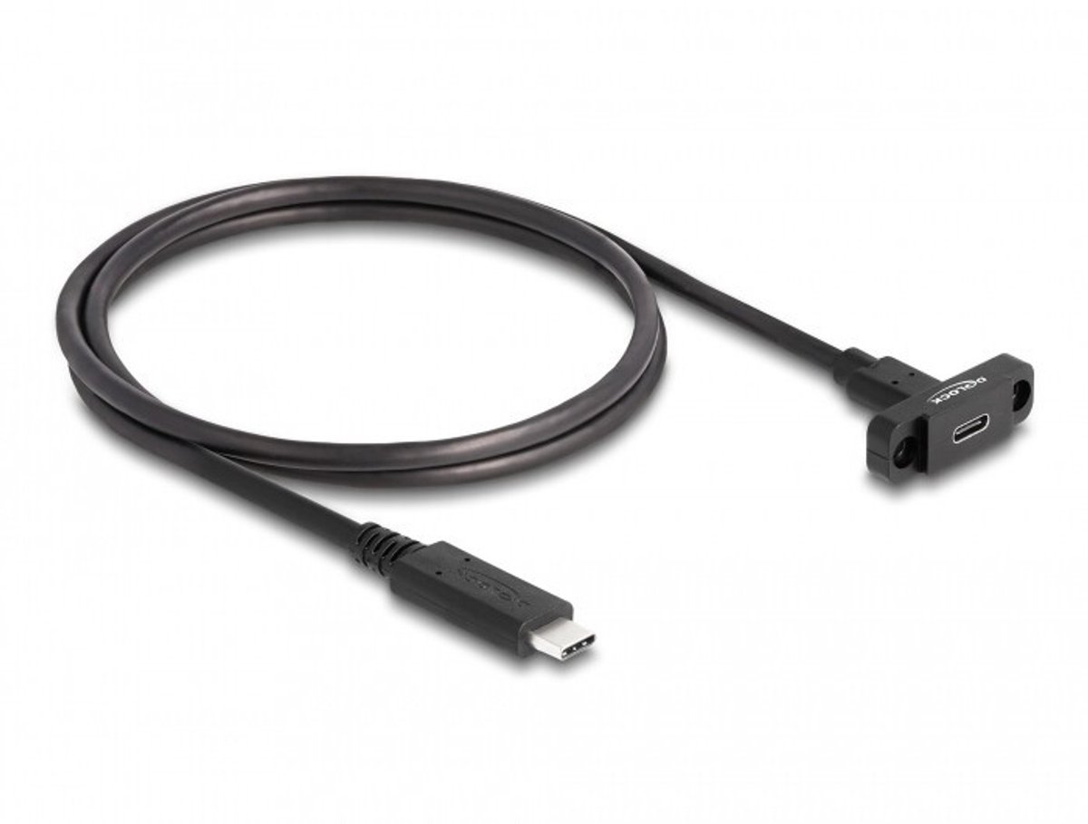 Delock Câble d'extension USB-C 1 m