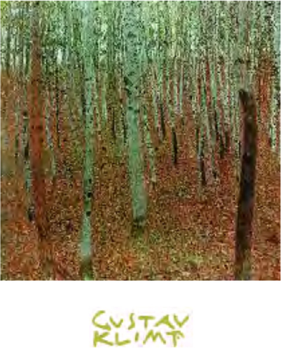 Catch Projecten Mini kunstposter - Gustav Klimt - Berkenbos - 24x30 cm Multicolor