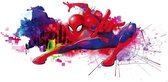 Fotobehang - Spider-Man Graffiti Art 300x150cm - Vliesbehang