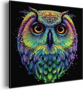 Akoestisch Schilderij Colored Owl 01 Vierkant Pro S (50 X 50 CM) - Akoestisch paneel - Akoestische Panelen - Akoestische wanddecoratie - Akoestisch wandpaneel