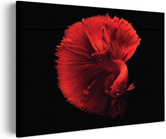 Akoestisch Schilderij Red Dragon Siamese Fighting Fish Rechthoek Horizontaal Pro XL (120 x 86 CM) - Akoestisch paneel - Akoestische Panelen - Akoestische wanddecoratie - Akoestisch wandpaneel