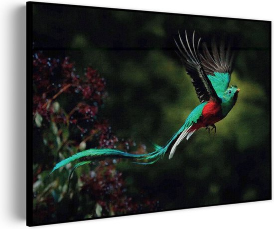 Akoestisch Schilderij Schitterende Vliegende Quetzal Vogel Rechthoek Horizontaal Basic M (85 X 60 CM) - Akoestisch paneel - Akoestische Panelen - Akoestische wanddecoratie - Akoestisch wandpaneel