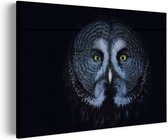 Akoestisch Schilderij Uil Hoofd Close Up Rechthoek Horizontaal Pro S (7 0x 50 CM) - Akoestisch paneel - Akoestische Panelen - Akoestische wanddecoratie - Akoestisch wandpaneel