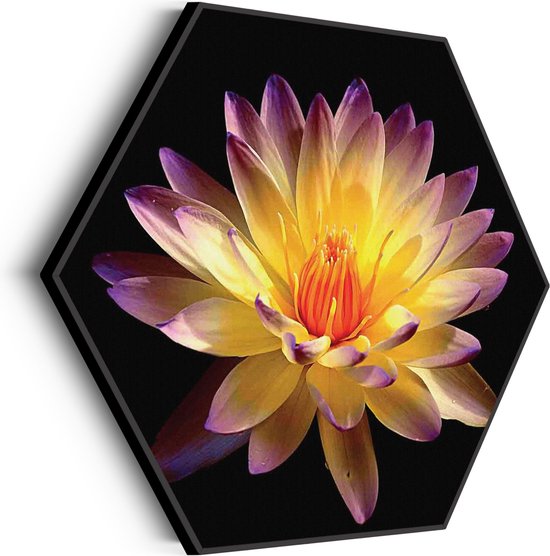 Akoestisch Schilderij Paarse Gele Dahlia Hexagon Basic L (100 X 86 CM) - Akoestisch paneel - Akoestische Panelen - Akoestische wanddecoratie - Akoestisch wandpaneel