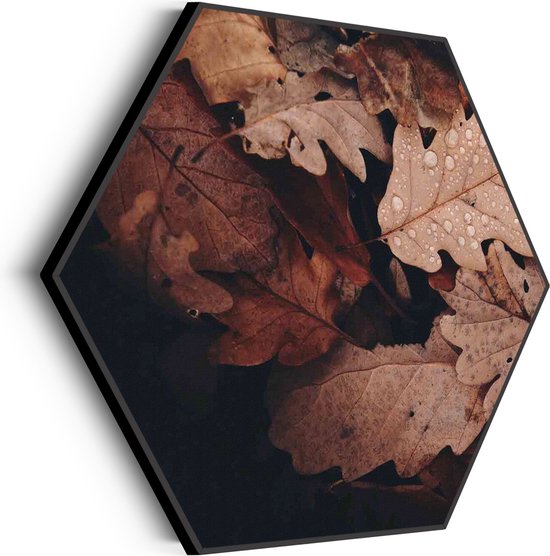 Akoestisch Schilderij Herfstweer Hexagon Basic M (60 X 52 CM) - Akoestisch paneel - Akoestische Panelen - Akoestische wanddecoratie - Akoestisch wandpaneel